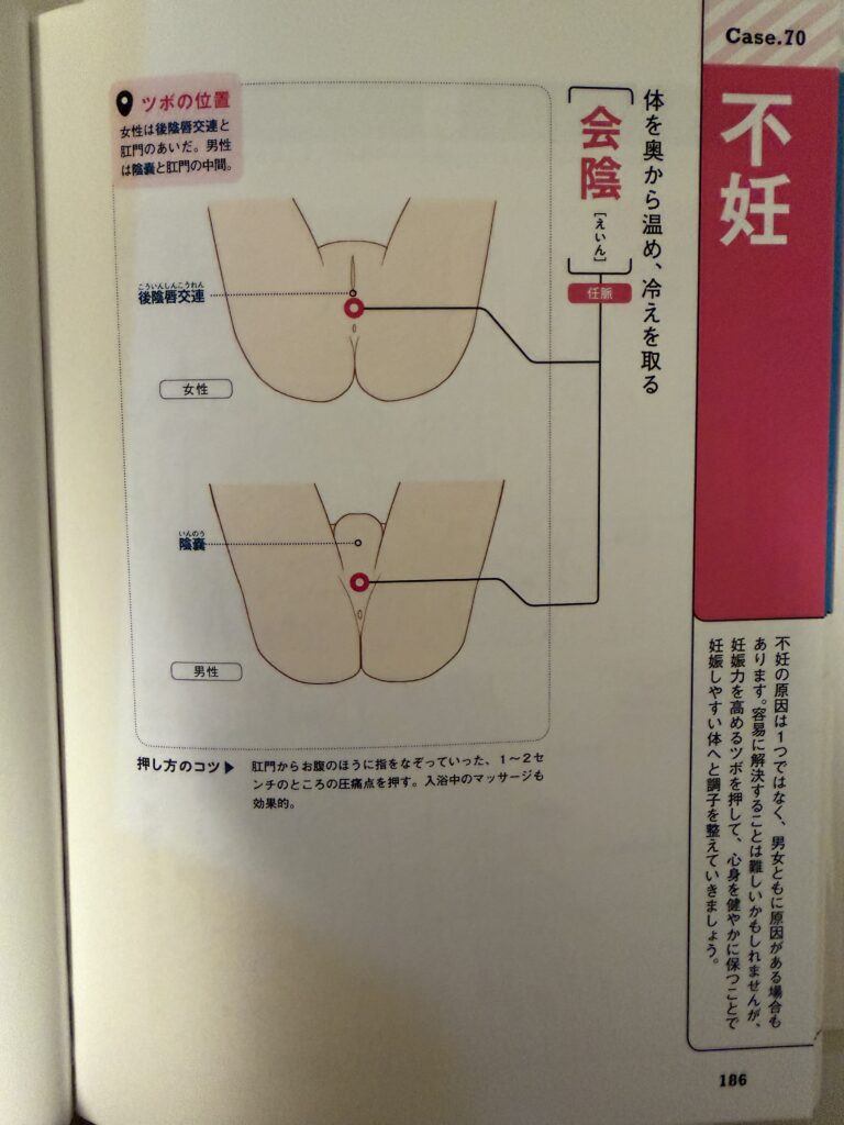 会陰,えいん,不妊のツボ,オイルマッサージ,全裸施術,全裸マッサージ,エロマッサージ,性感マッサージ