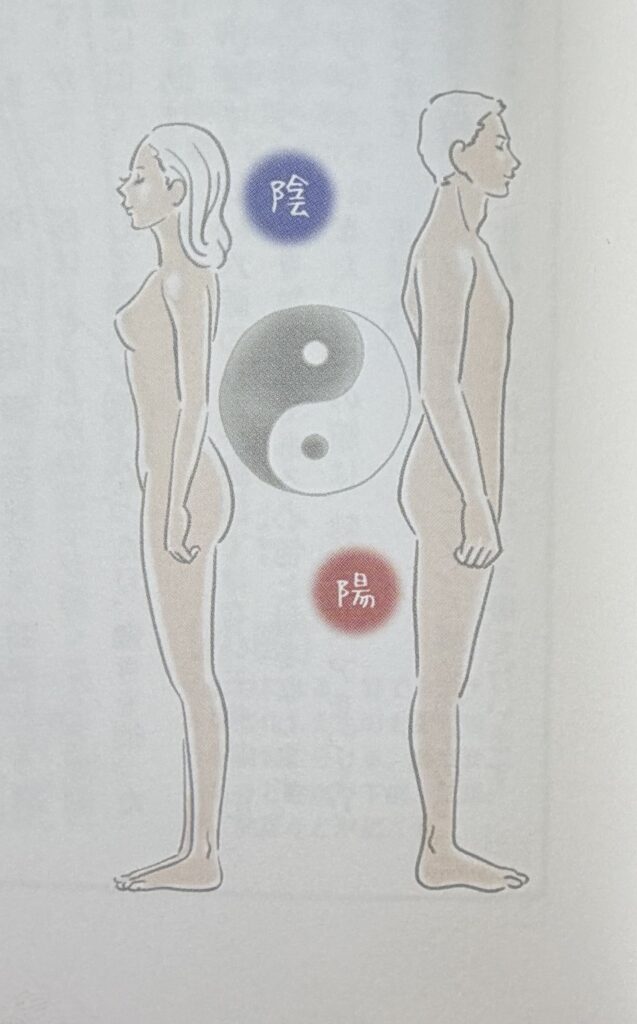 陰陽と人体,陰陽と男女,オイルマッサージ,全裸施術,全裸マッサージ,エロマッサージ,性感マッサージ